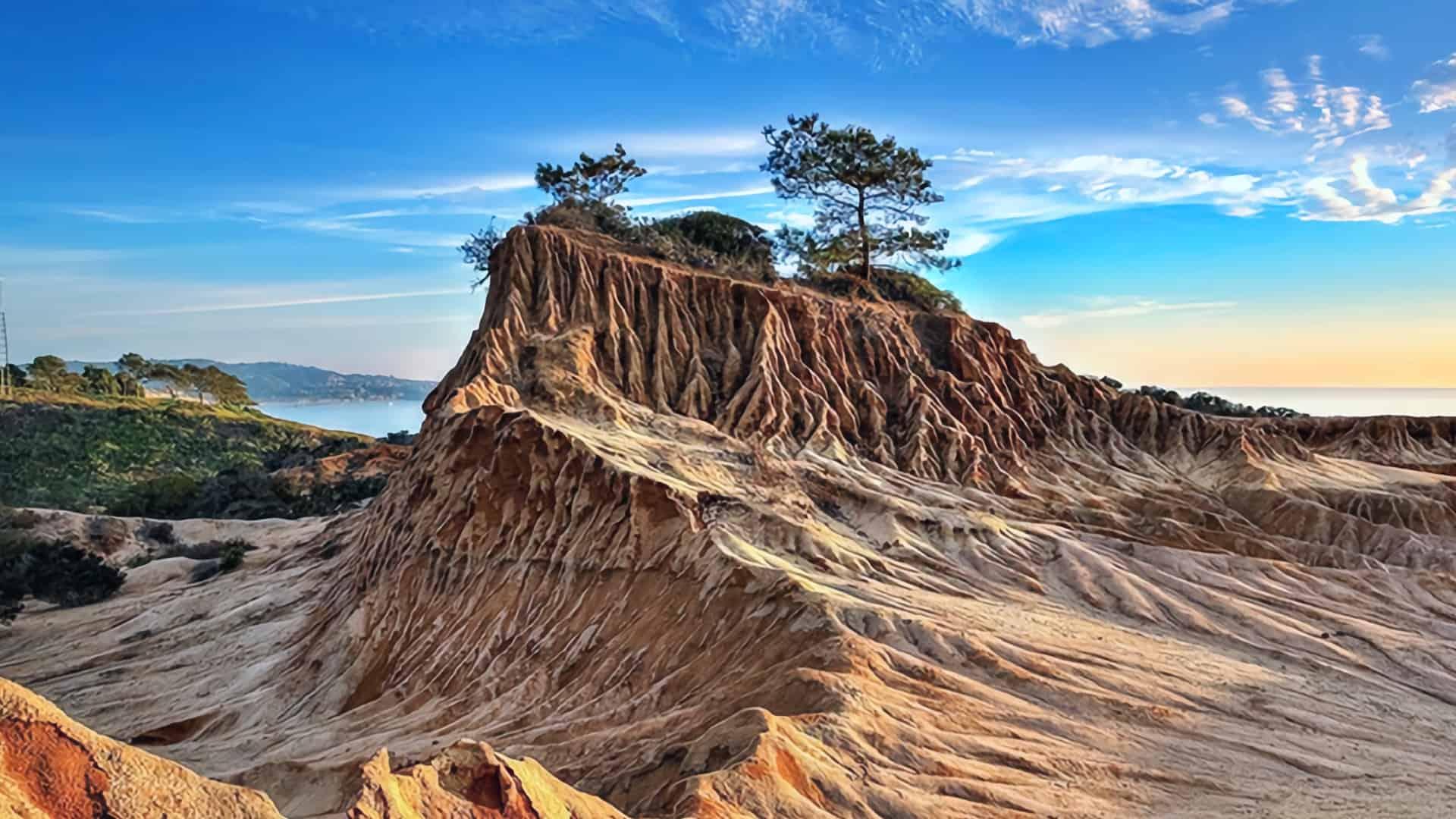 Torrey Pines Trail