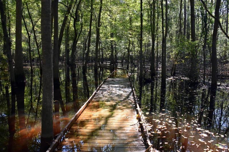 Boardwalk Loop Trail