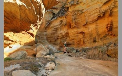 Lobo Canyon Trail