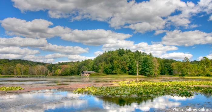 Kendall Lake Loop Trail and Salt Run Trail