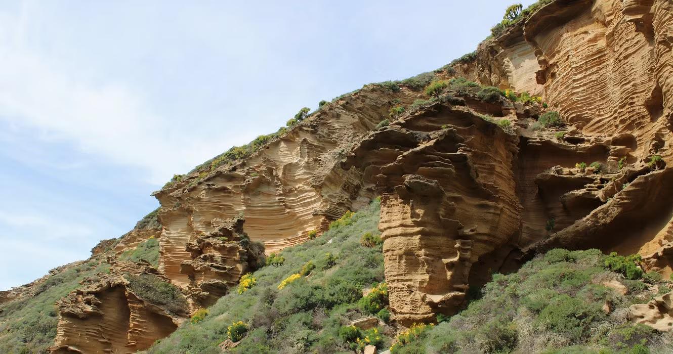 Lobo Canyon Trail