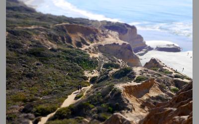 Torrey Pines Trail