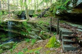 Laurel Falls and Lost Falls Trails Loop