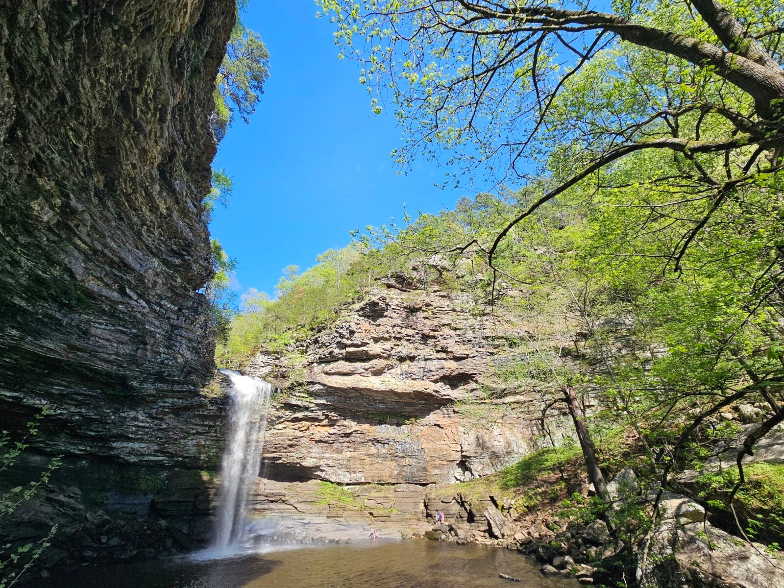 Cedar Falls Trail